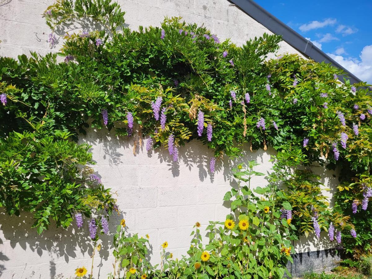 Heerlijk Appartement 'La Bienvenue' In Venlo, Limburg Exteriér fotografie